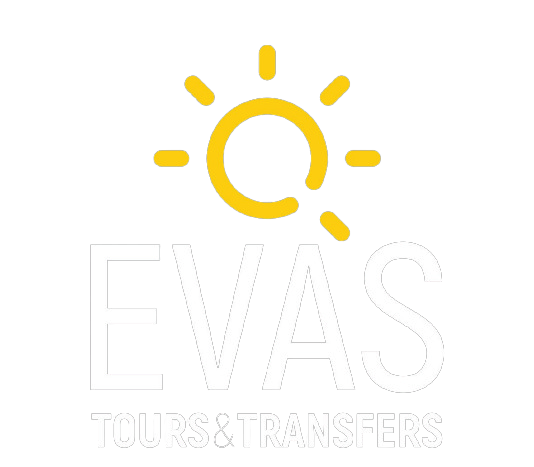 LOGO_COMPANY removebg preview